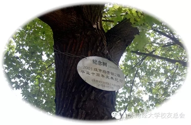 美高梅娱乐城